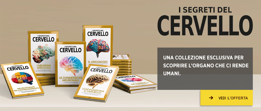 http://www.rbaitalia.it/wp-content/uploads/2025/07/cervelloxRBA.jpg