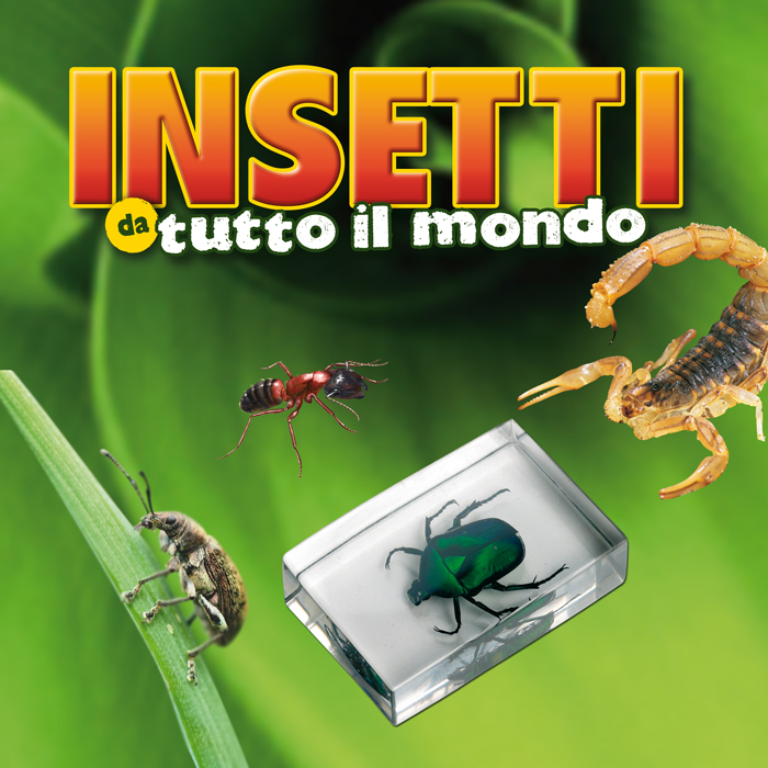 insettilogo